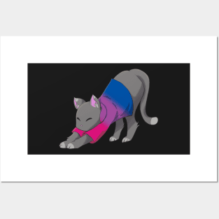 Bisexual cat stretching Posters and Art